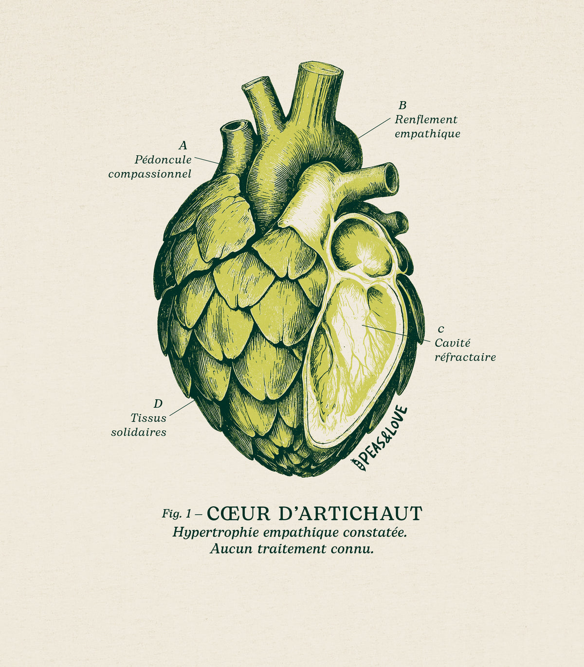 Cœur d’artichaut